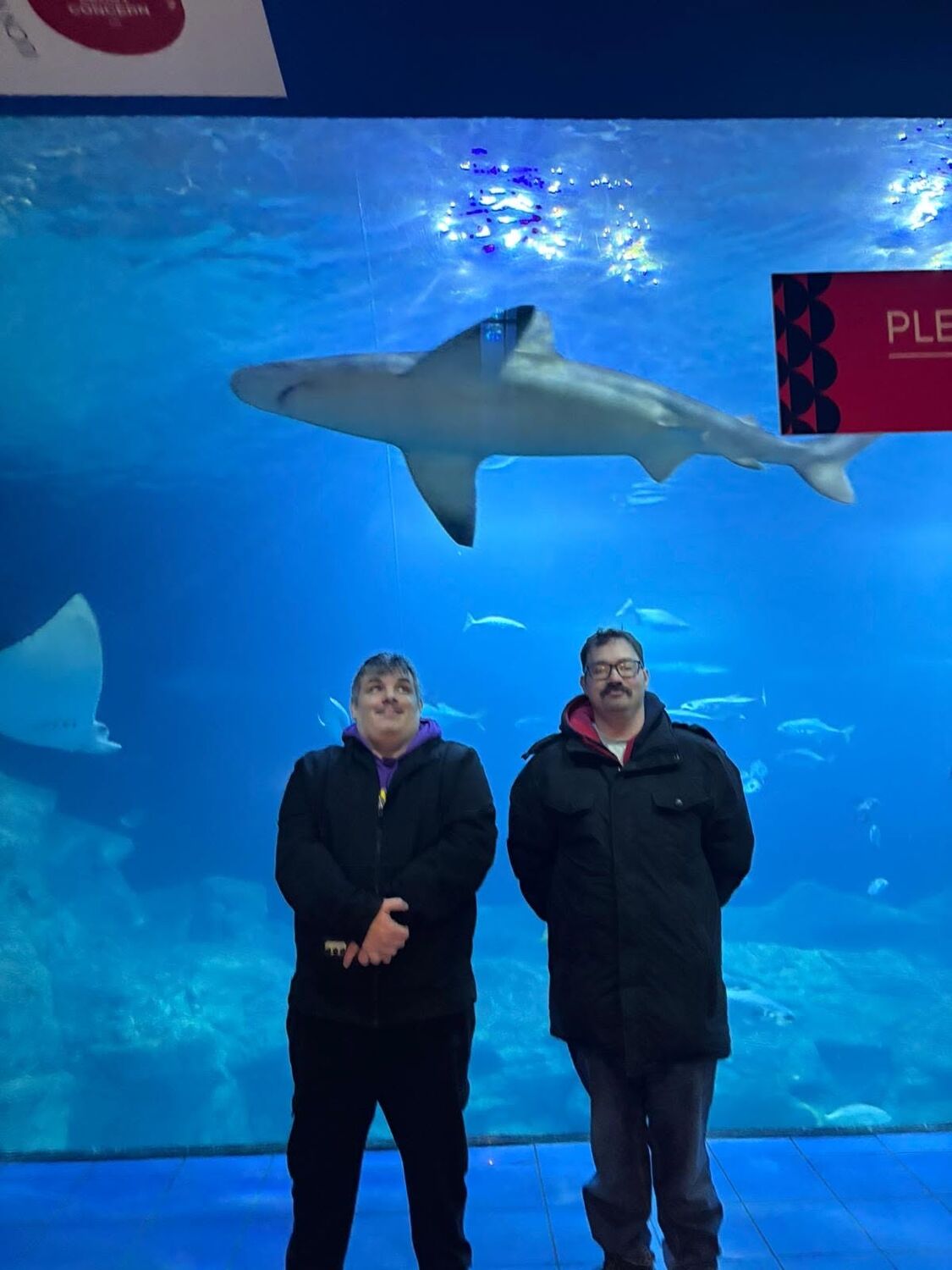 Standing in front of the shark tank at the National Marine Aquarium